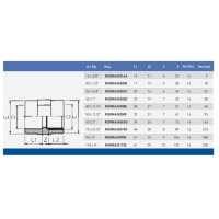Муфта переходная клеевая ПВХ ВР Pn16 D110x4"